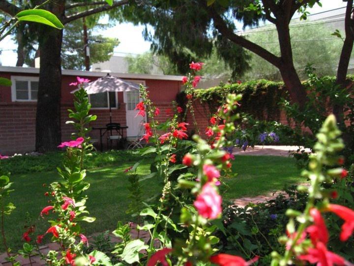 Mon Ami Bed And Breakfast Тусон Номер фото